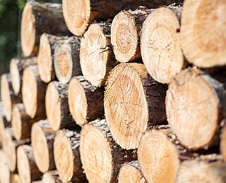 Holz als Baustoff